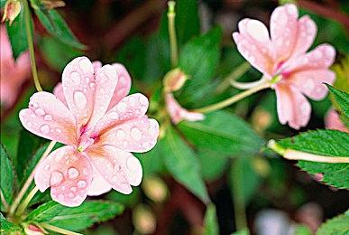 《仁王3》反派角色“德川国松”介绍公开